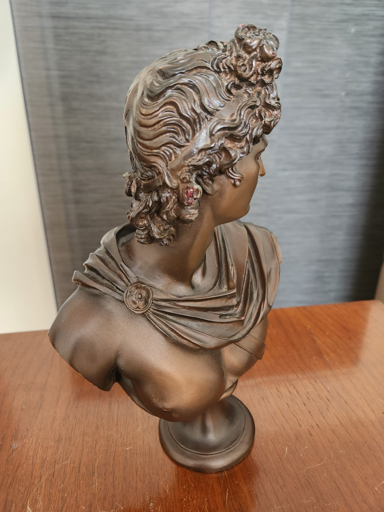 Bust image indicator(3)