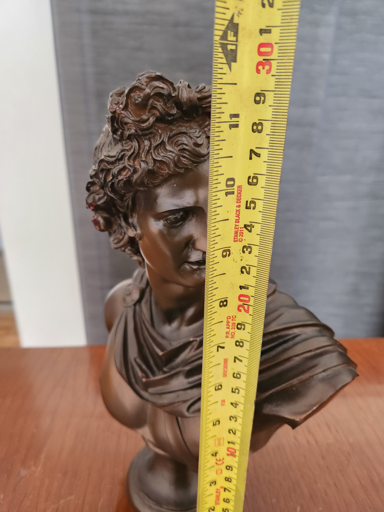 Bust image indicator(4)