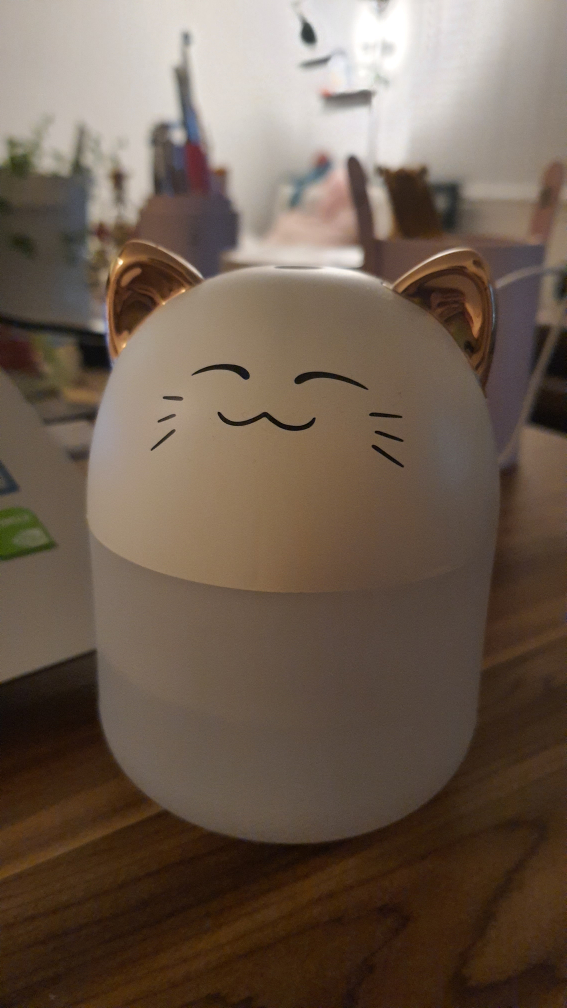 Water Diffuser image indicator(2)