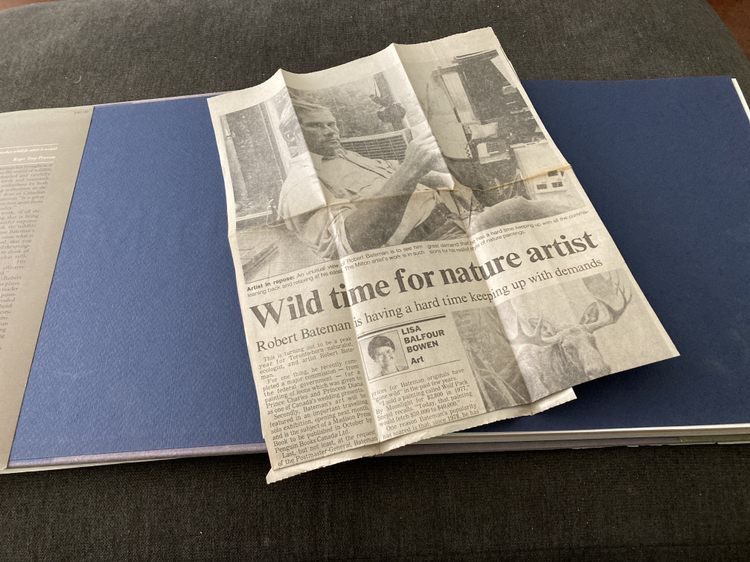 🥕FREE🥕 Artist Book image indicator(6)