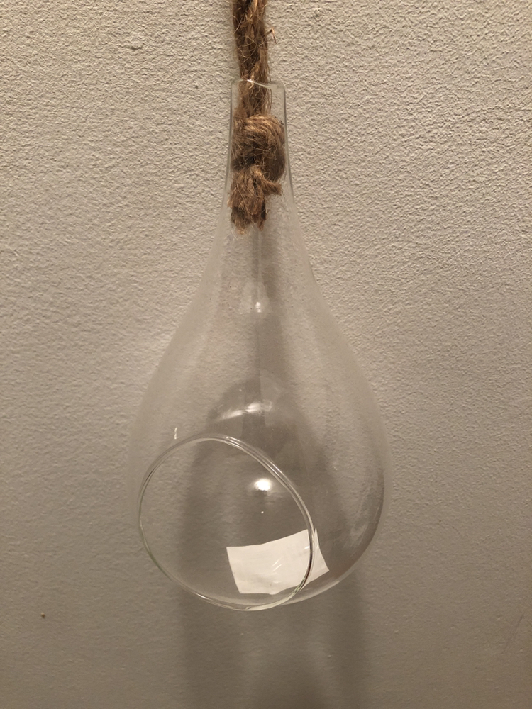 Glass airplant holder 🥕 image indicator(2)