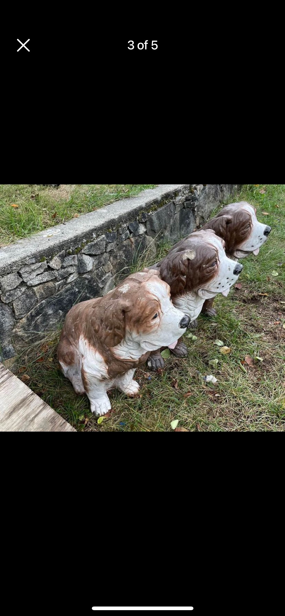 Early 1950s Vintage Outdoor realistic Great Bernard image indicator(4)