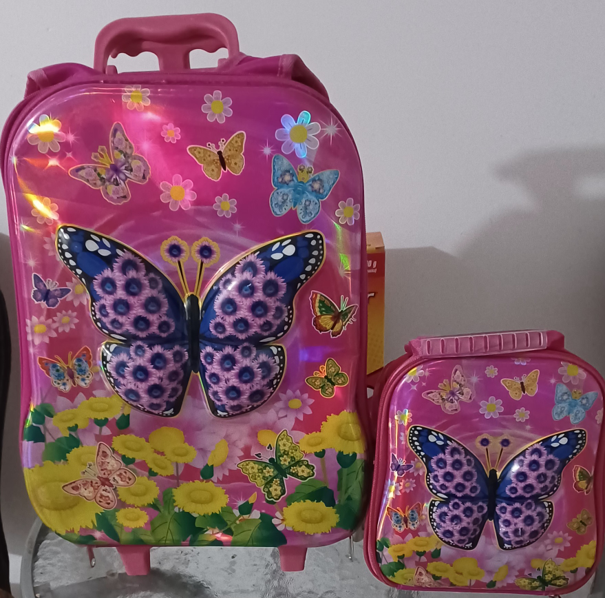 2pcs kids' school bags $20