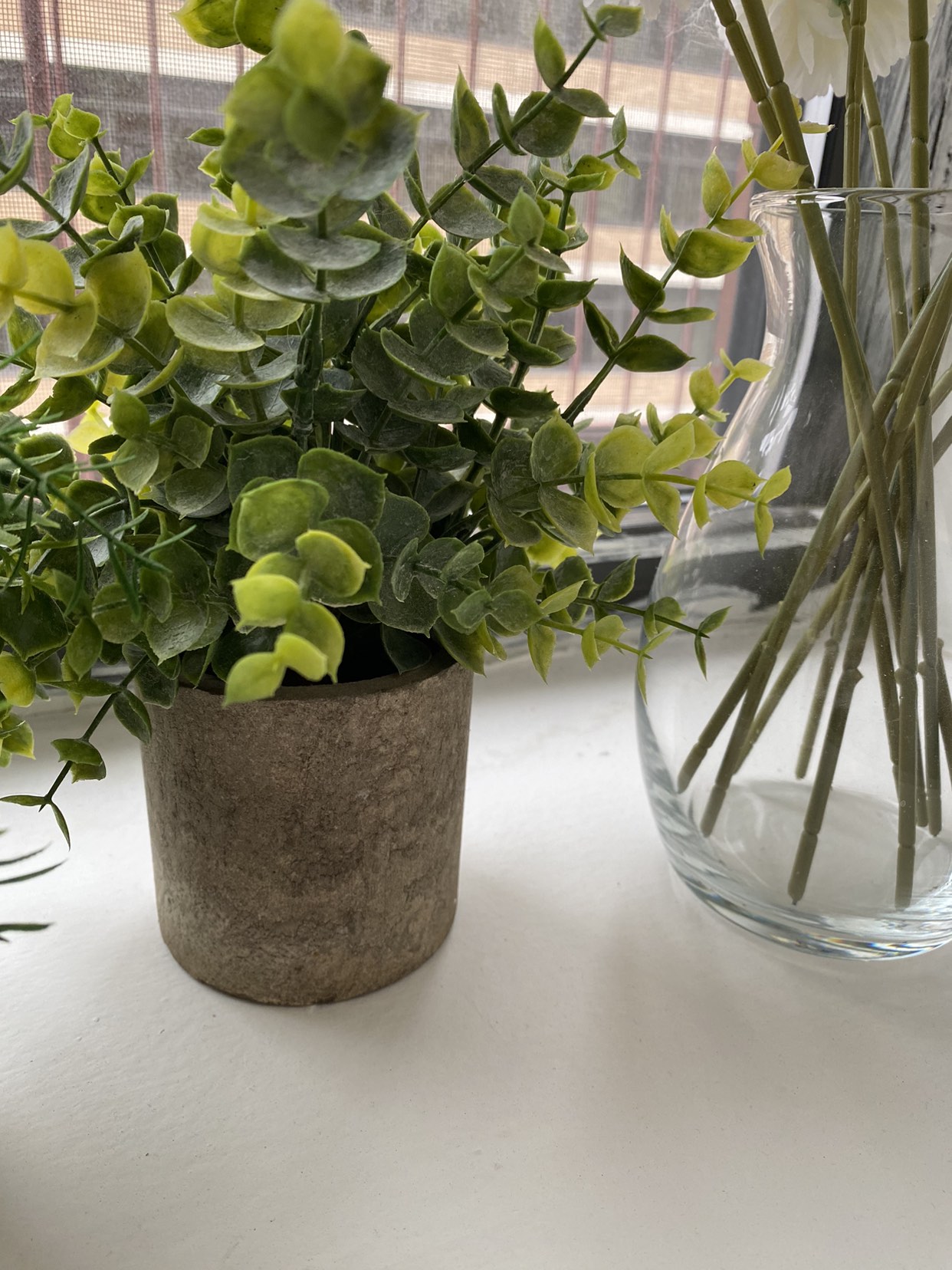 Assorted plants as shown - photo 4