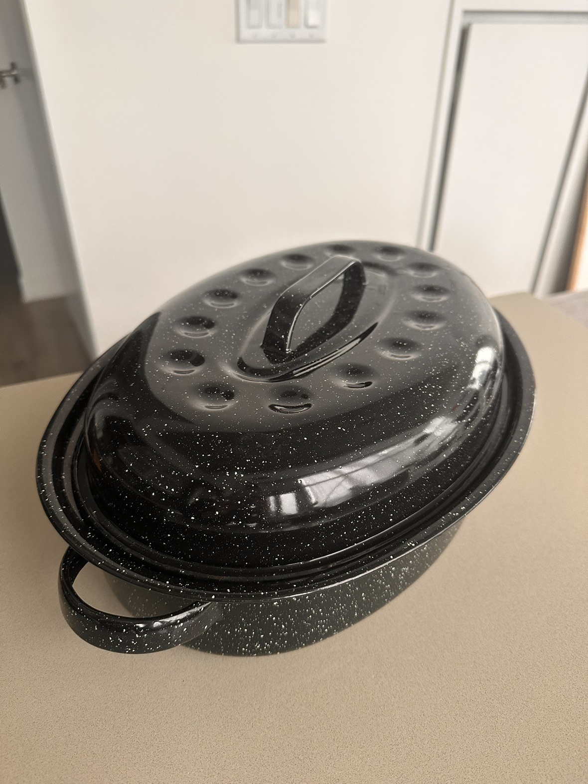 Roasting Pan thumbnail