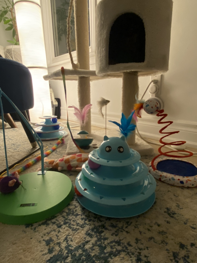 Cat toys - photo 4