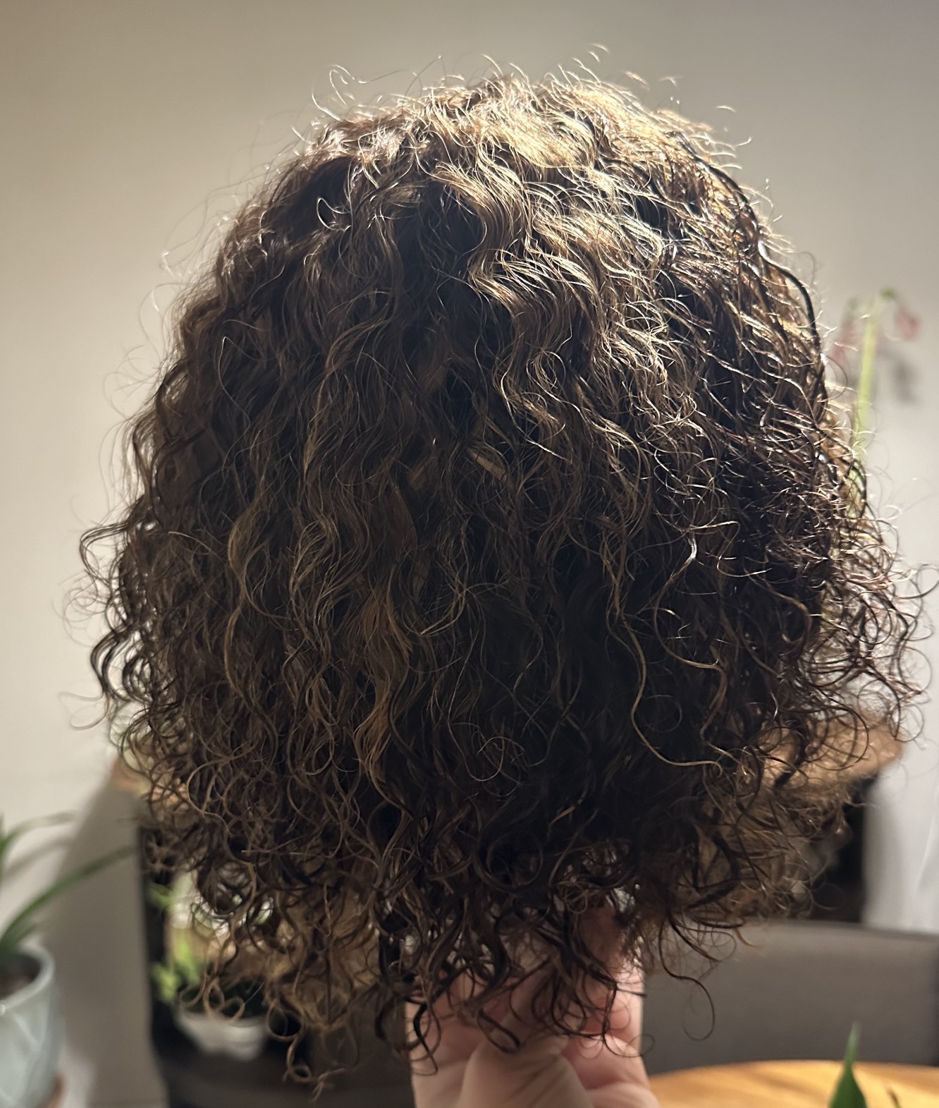 Human Hair Wig - photo 3