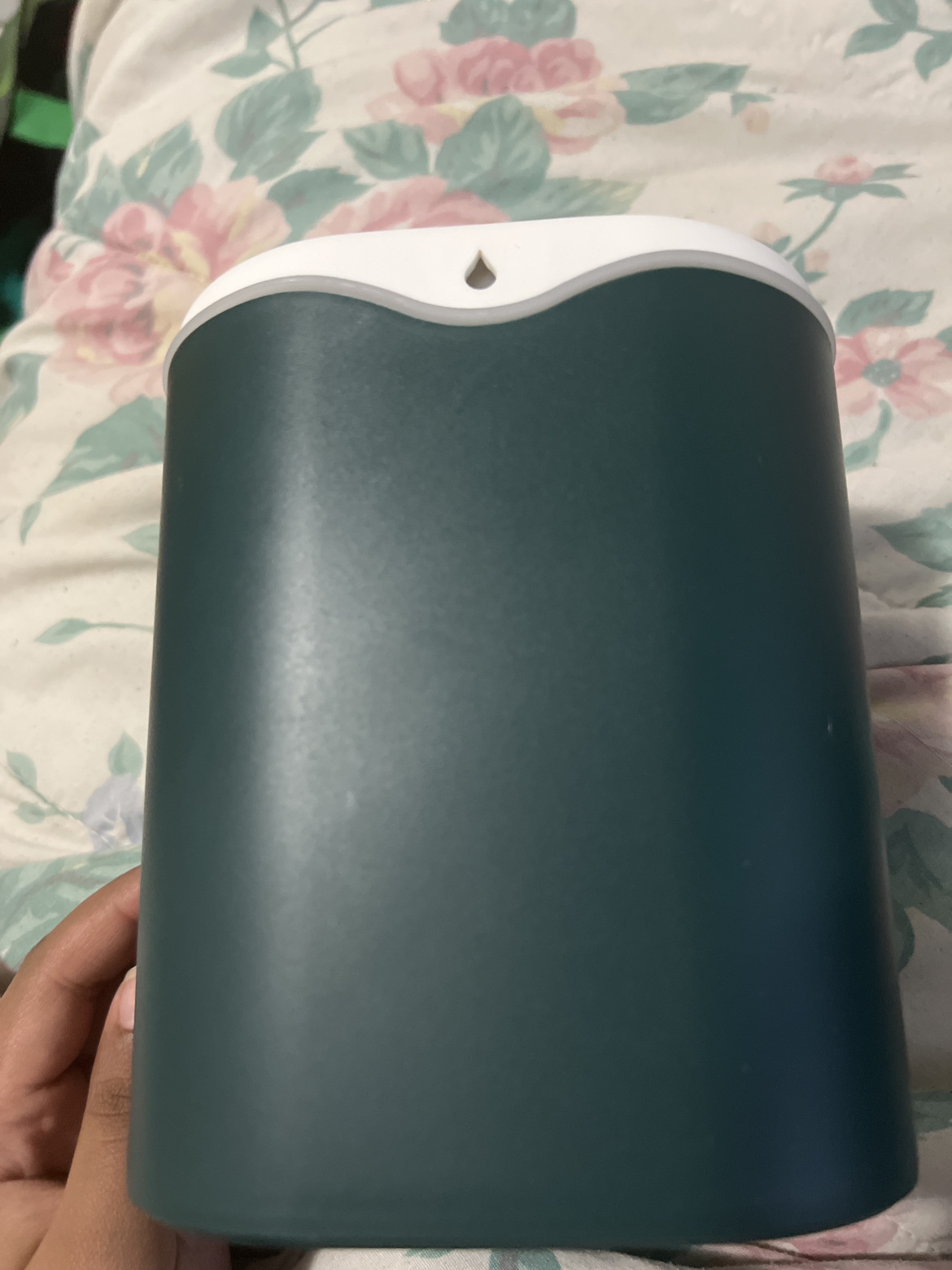 humidifier - photo 2