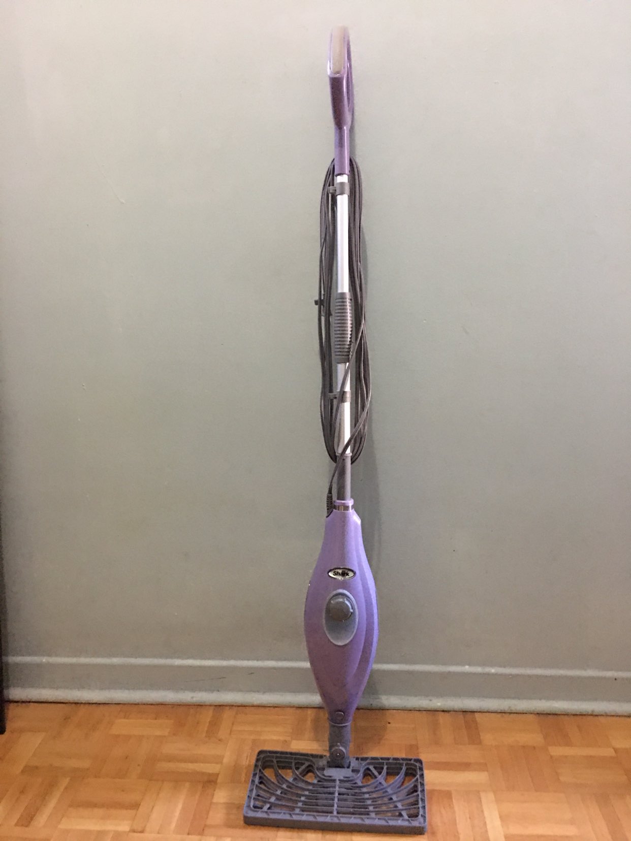 Steam Cleaner - photo 4