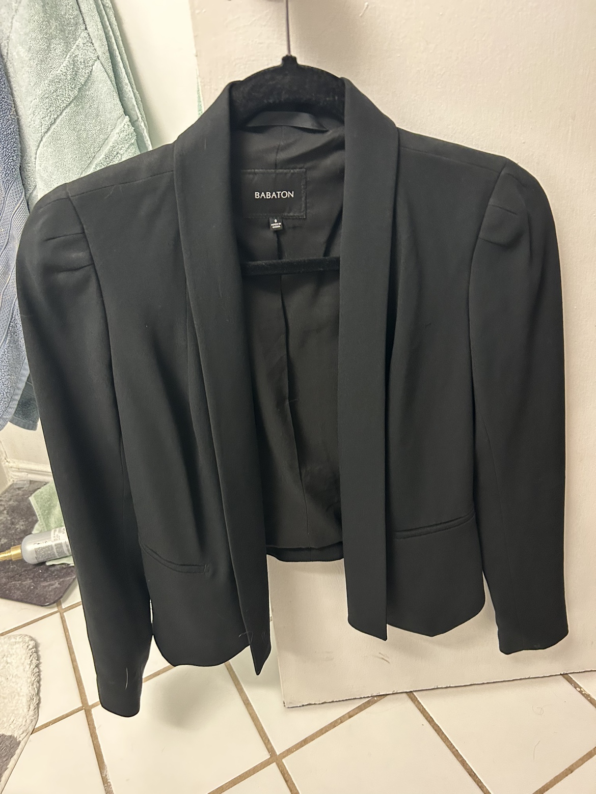 Aritzia Babaton Blazer thumbnail