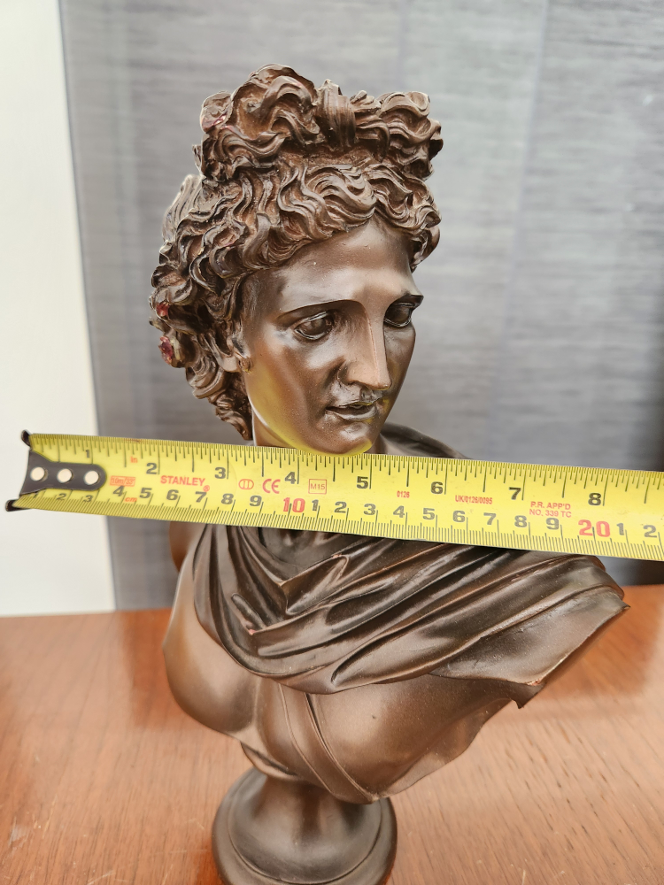 Bust image indicator(5)