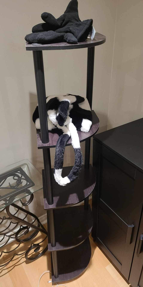 #freecycle corner shelf thumbnail