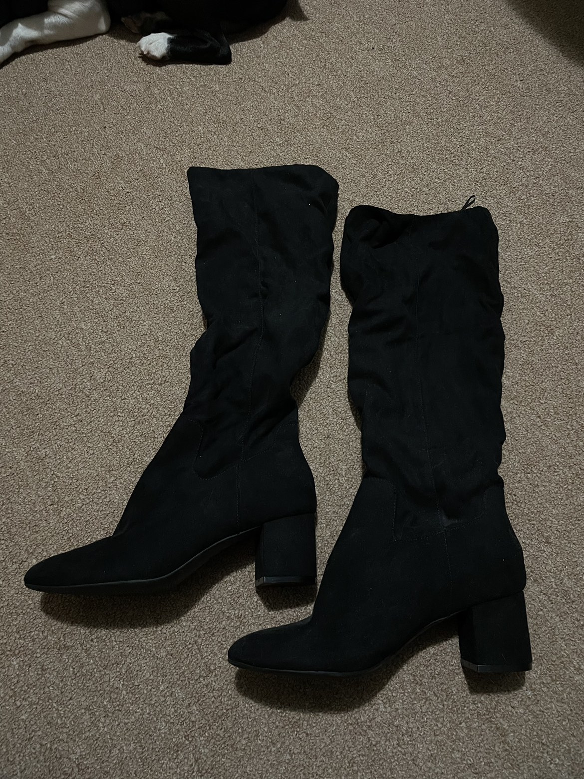 Cute brand new women’s tall suede black boots