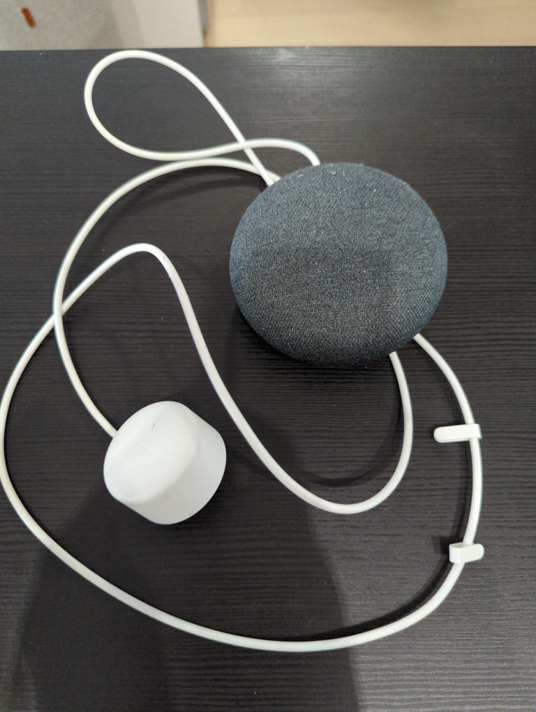 google mini  1st gen
