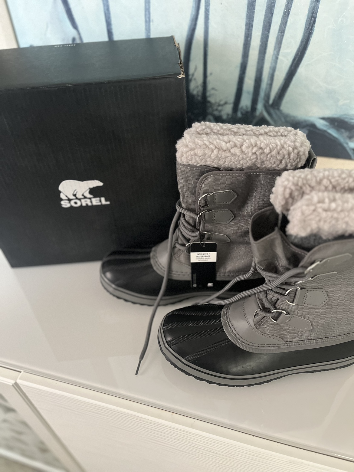 Sorel mens winter boots