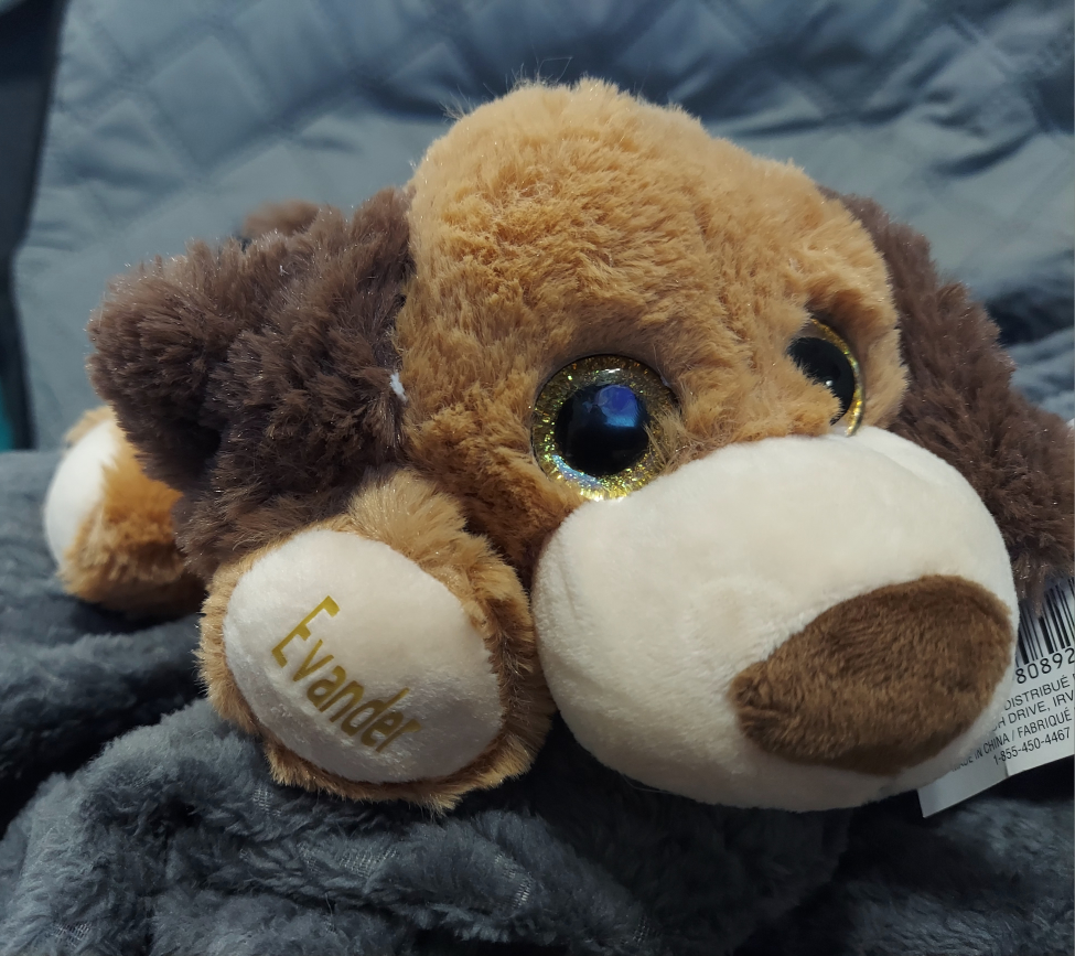 Personalized Plush - photo 2
