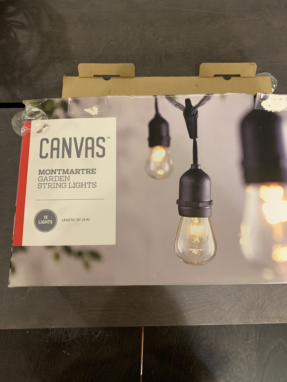 Garden string lights new thumbnail