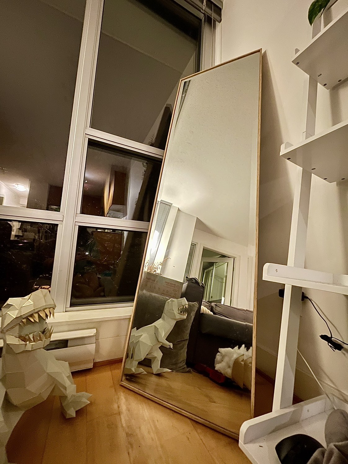 Standing Floor Mirror