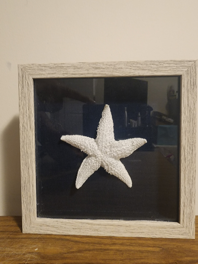 starfish framed wall art