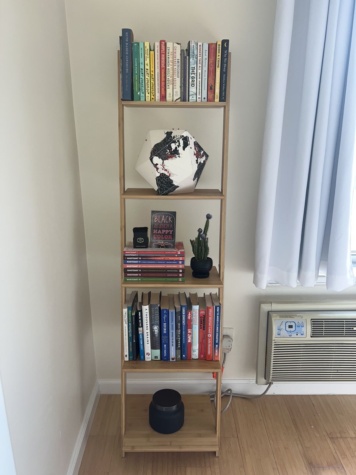 Bamboo Ladder Bookshelf