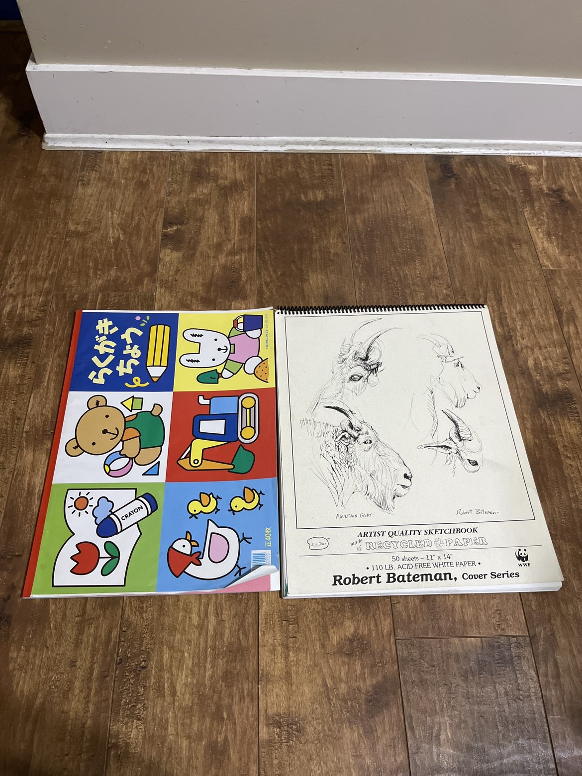 🥕#freecycle sketch books thumbnail