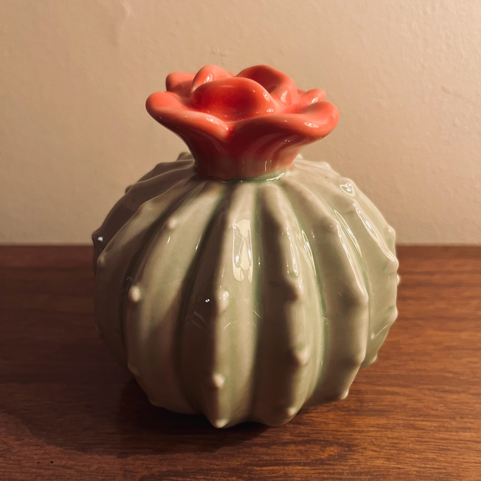Ceramic Cactus thumbnail