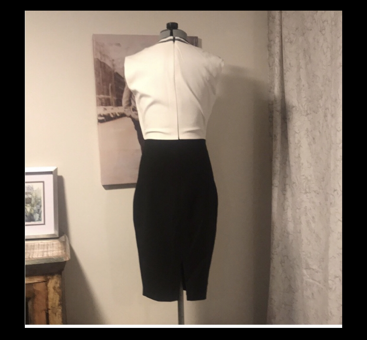 Elizabeth & James “Kenya” color block dress (altered sleeves) image indicator(4)