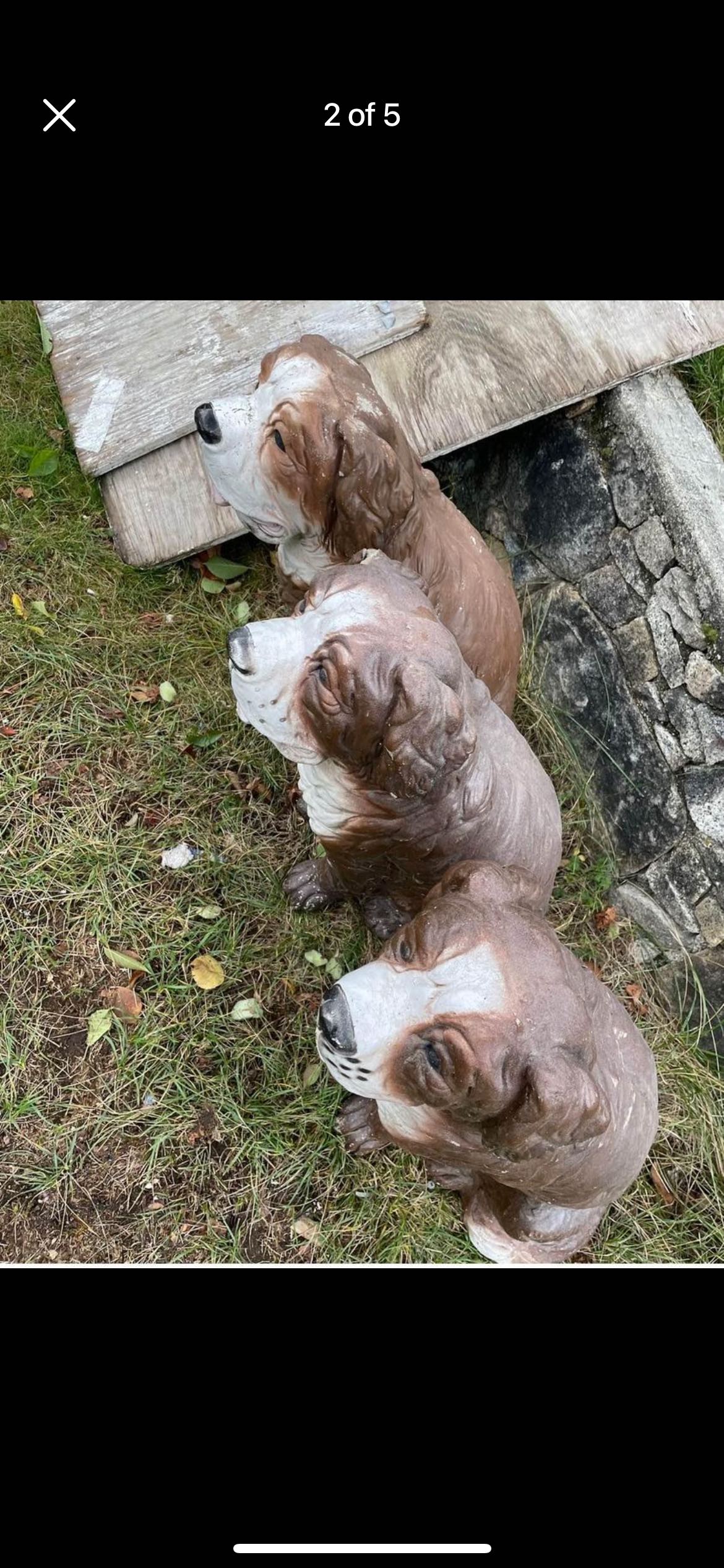 Early 1950s Vintage Outdoor realistic Great Bernard image indicator(2)