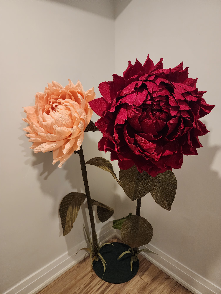 SALE! Beautiful Giant Peonies - photo 2