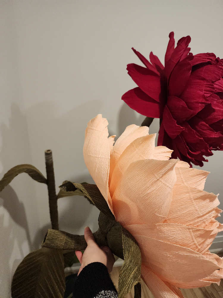 SALE! Beautiful Giant Peonies - photo 4