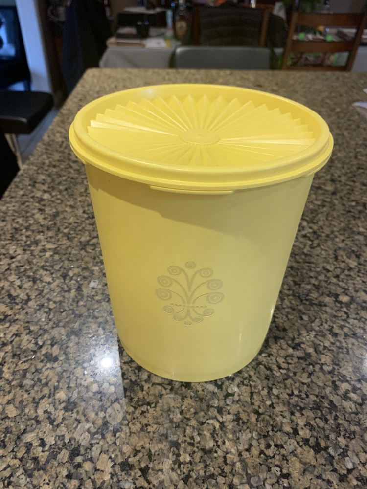 Vintage Tupperware Container