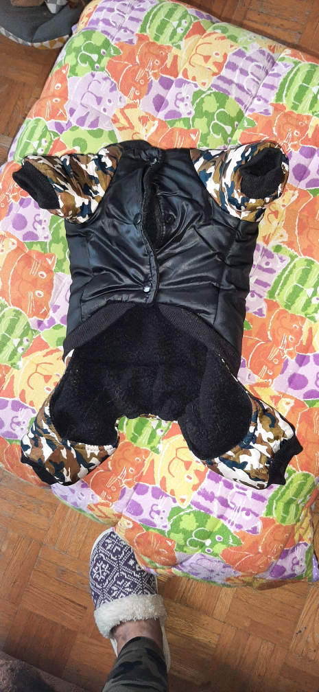 dog snowsuit image indicator(2)