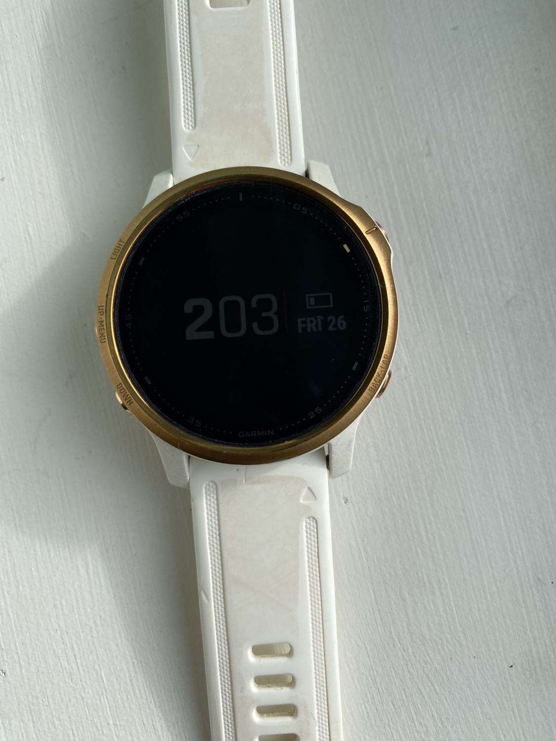Garmin fenix 6s pro