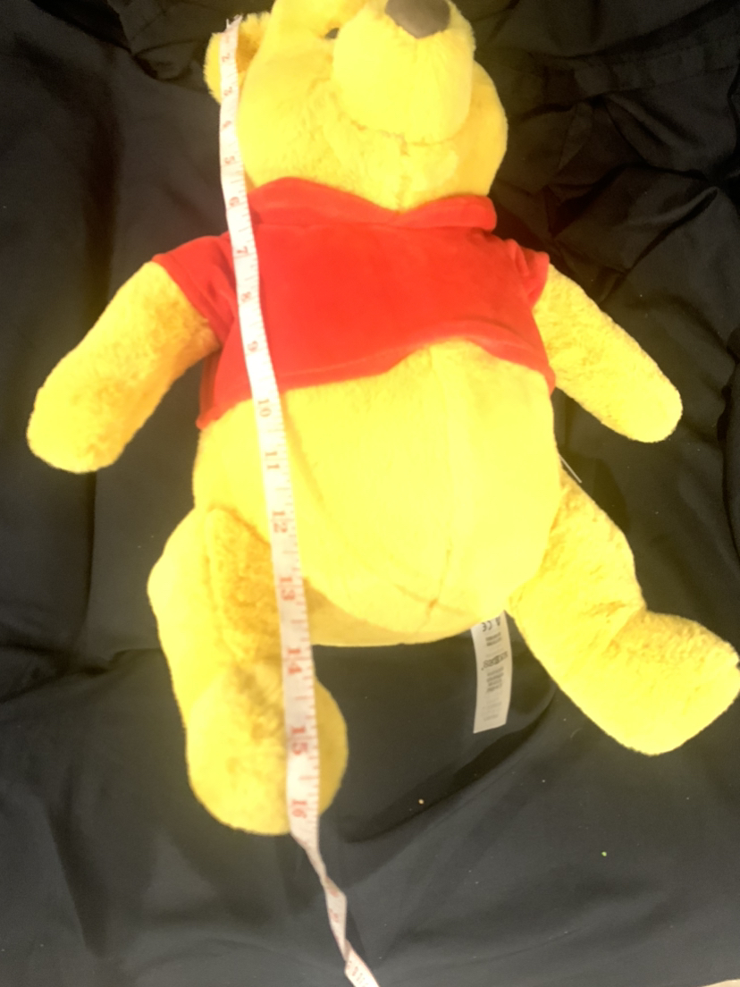 $20 Disney Winnie the Pooh 15” (NWT) - photo 5
