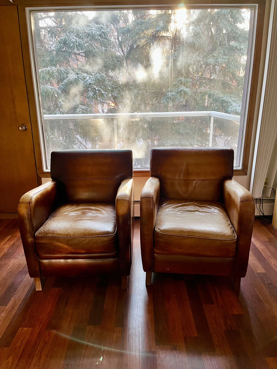 Two Leather Chairs