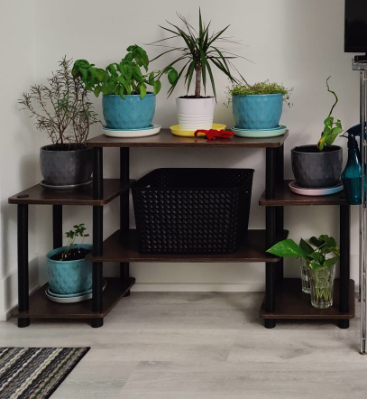 Wooden shelf