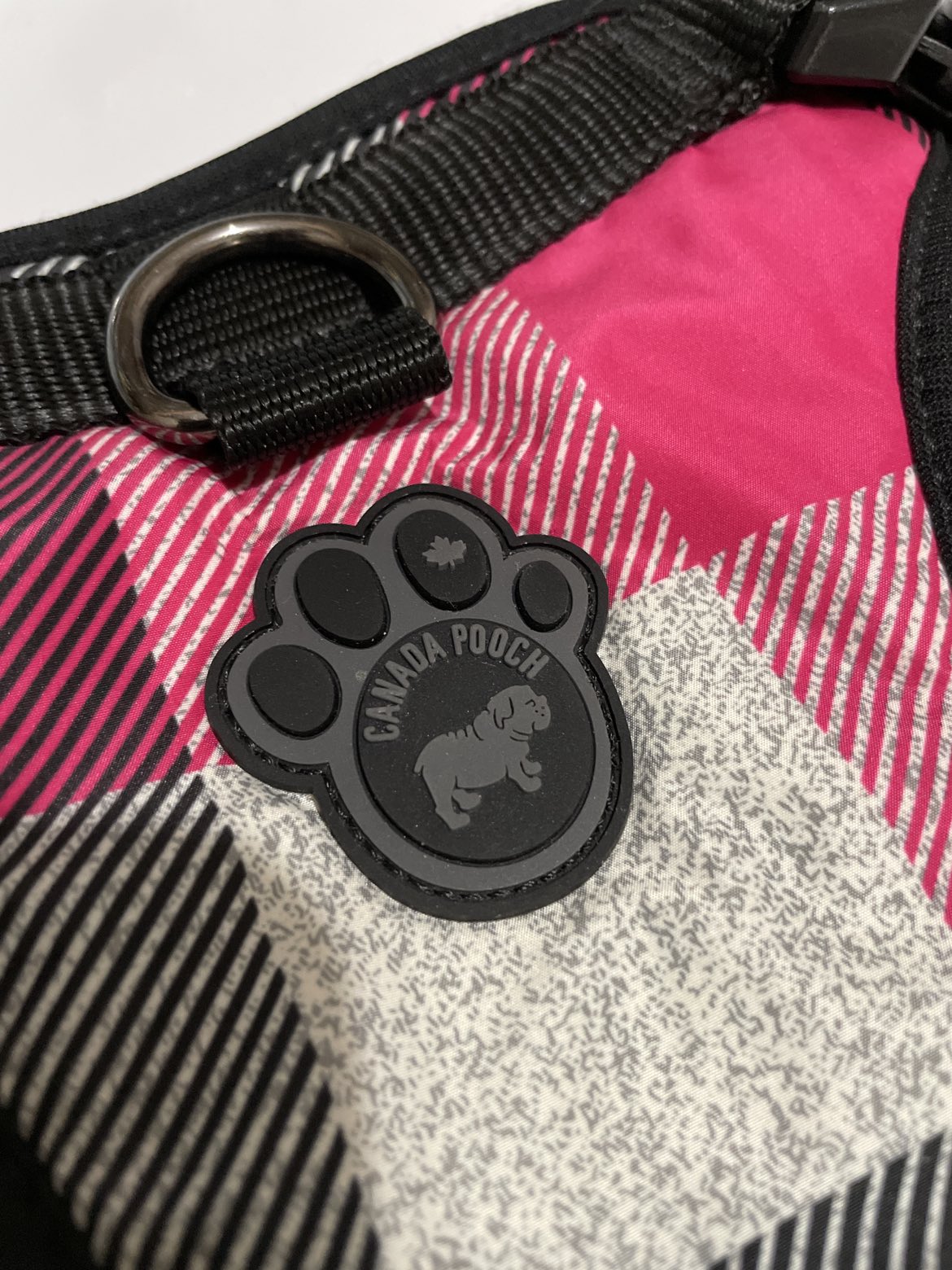 Dog Harness 🥕 image indicator(2)