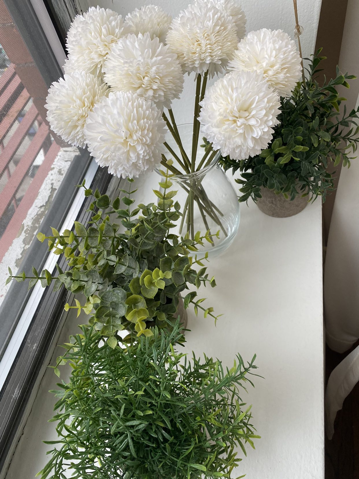 Assorted plants as shown - photo 2