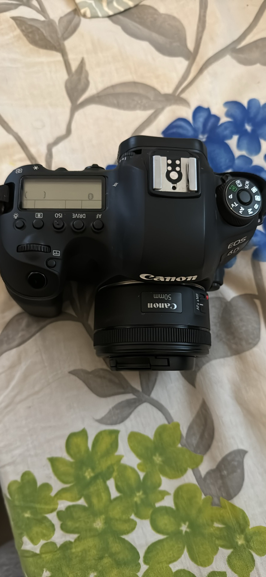 Canon EOS 6D mark ii with EF 50 mm f/1.8 STM lenses - photo 4