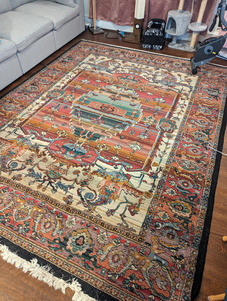 Beautiful vintage area rug 🥕 thumbnail