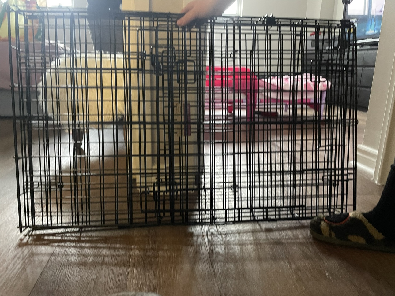 Dog crate image indicator(3)