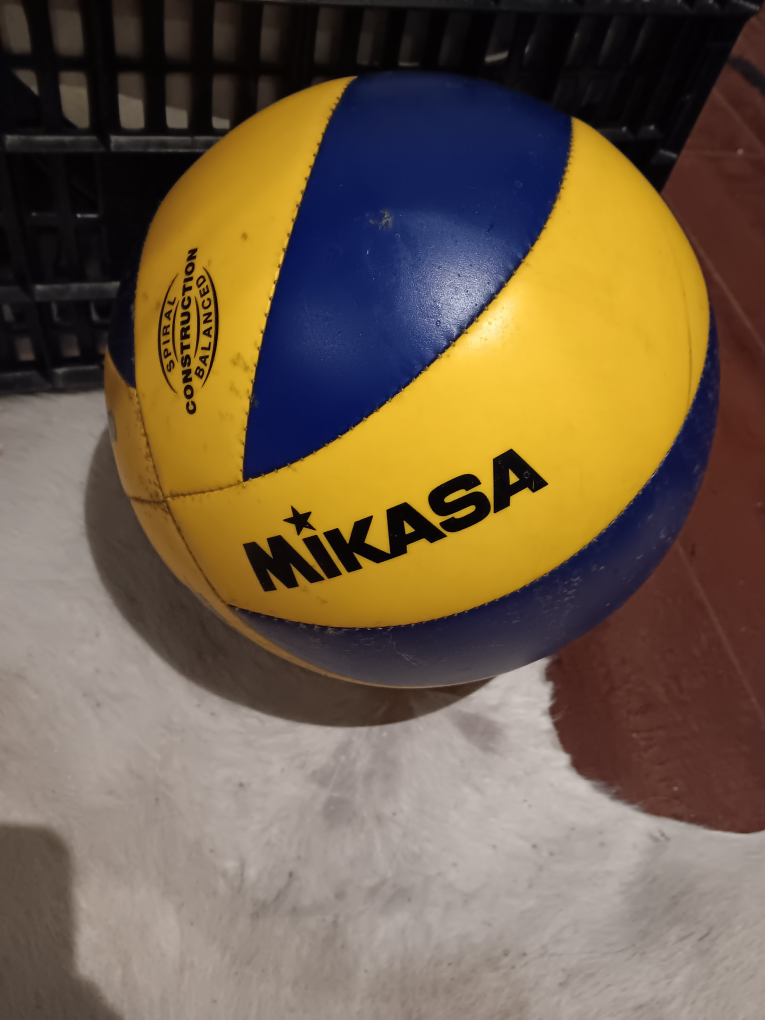 volleyball thumbnail