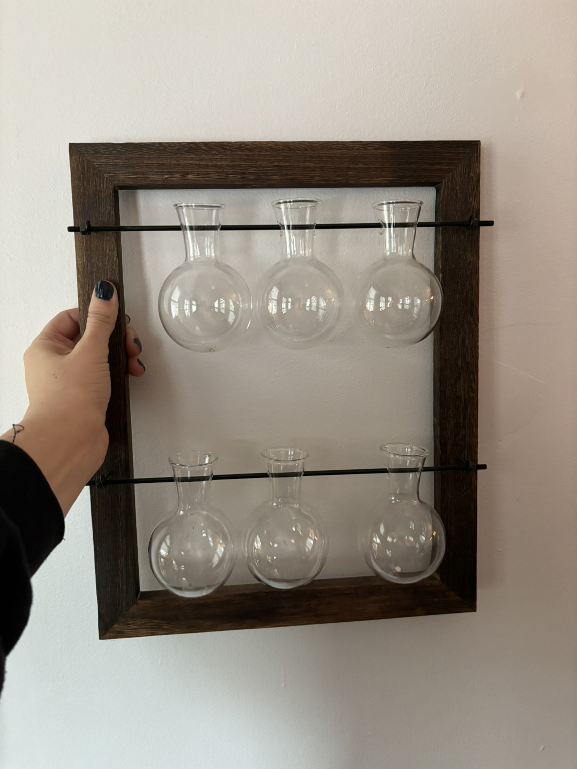 Plant propagation frame