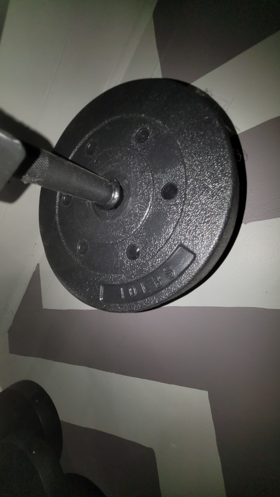 workout utility bench - photo 4