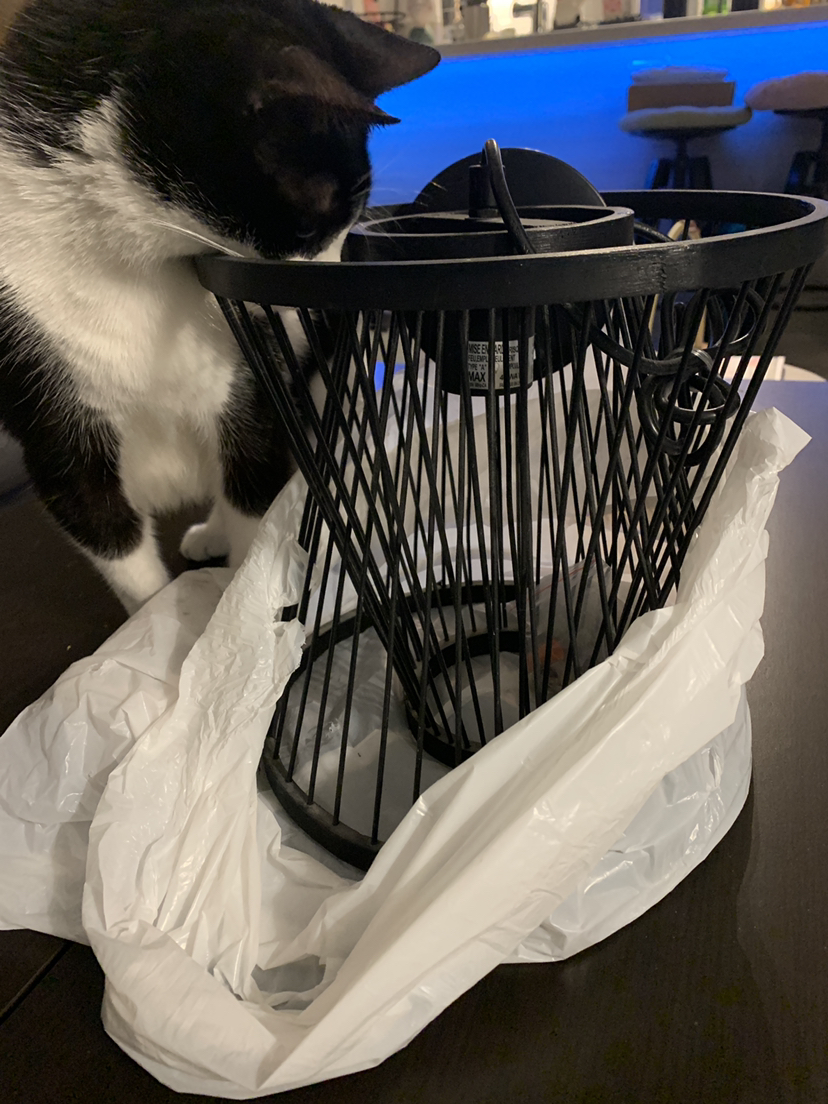 ‼️FINAL PRICE‼️Black rattan chandelier boho hanging light image indicator(2)