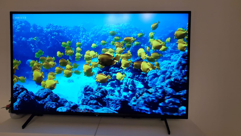 Sony TV thumbnail