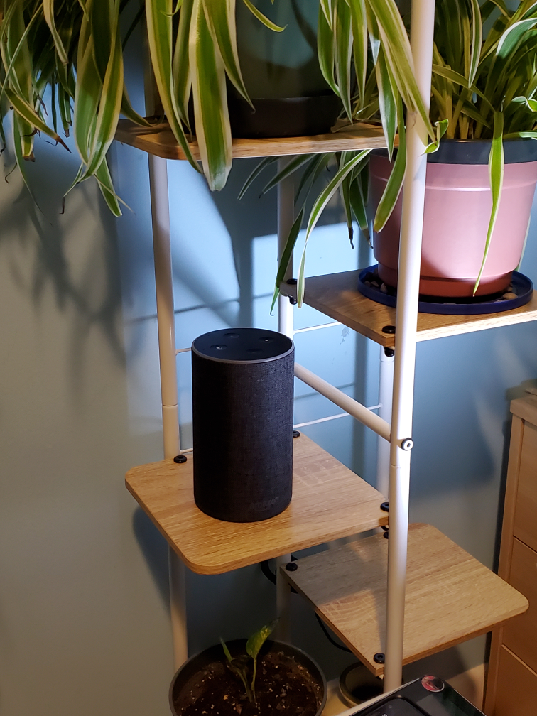 Alexa Echo 2nd Generation - Charcoal - photo 4