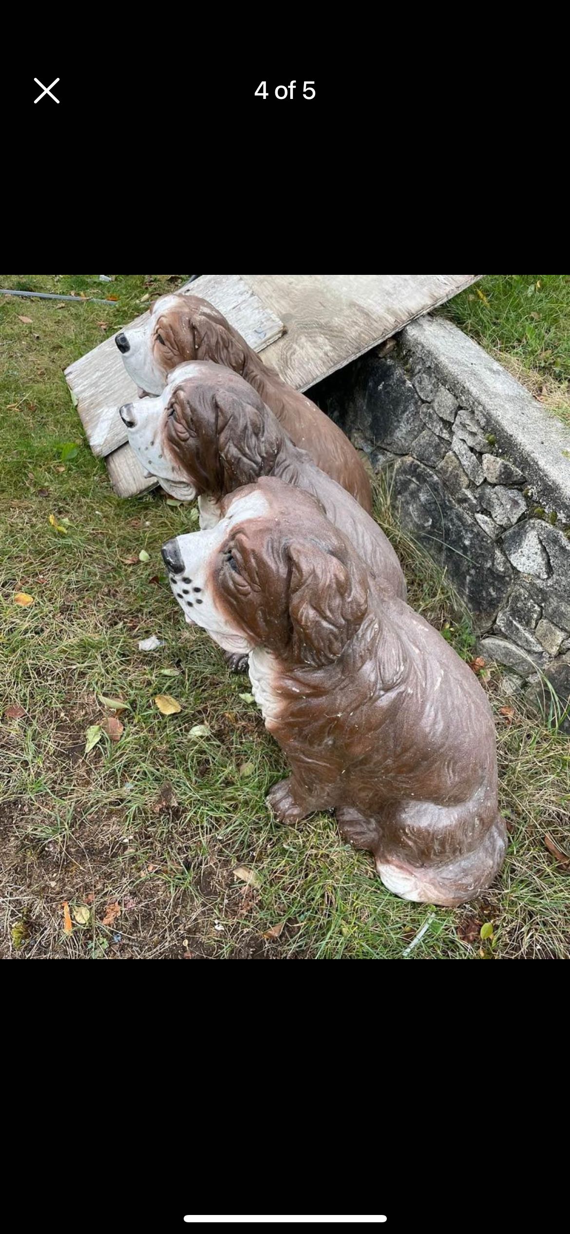 Early 1950s Vintage Outdoor realistic Great Bernard image indicator(5)