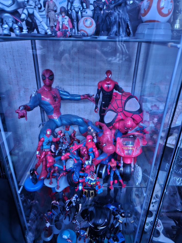 collection - photo 3