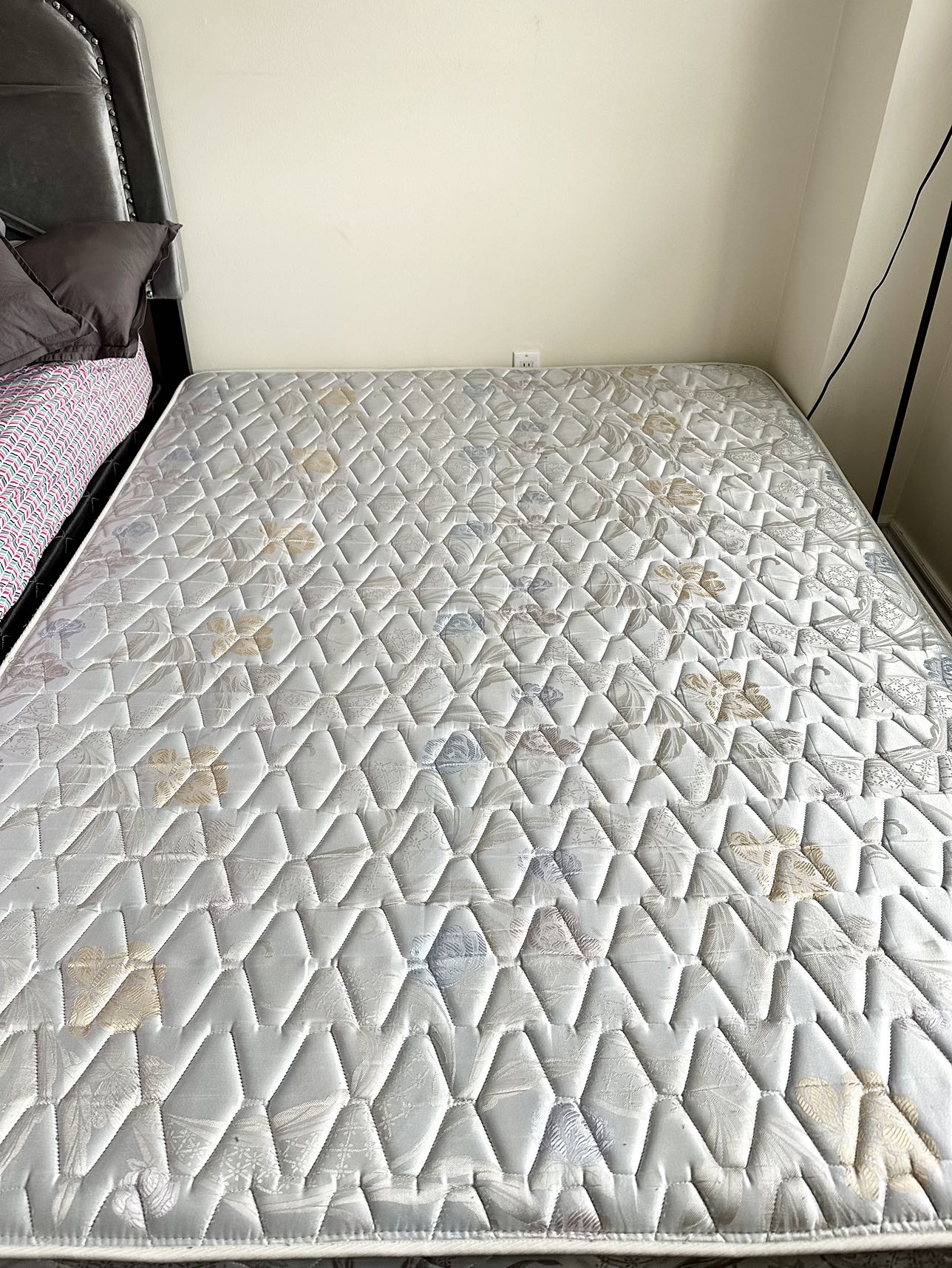 Queen Matress and Box Spring image indicator(6)